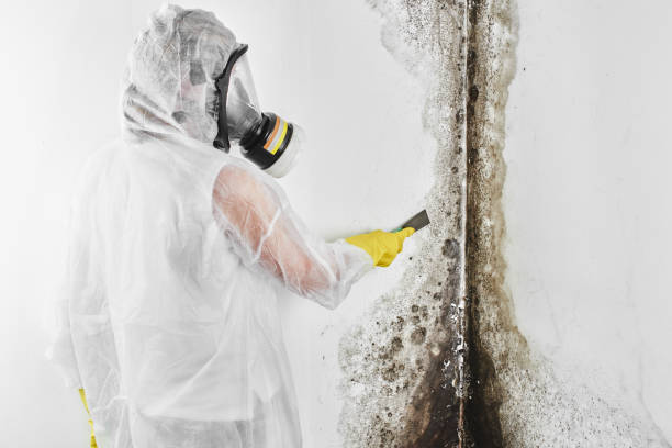 Water Damage Restoration in Wind Lake, WI