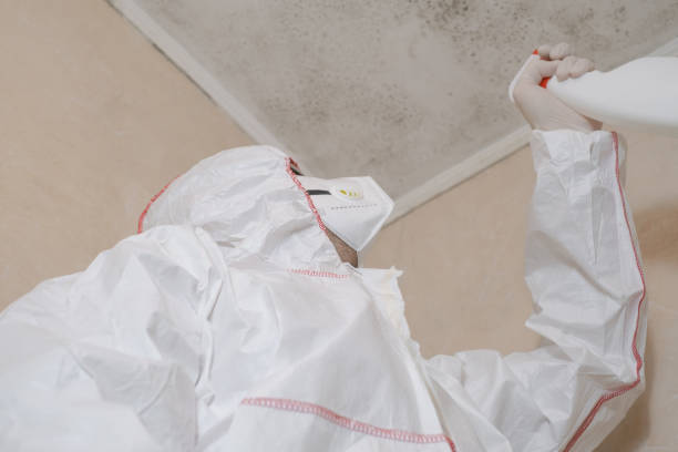 Crawl Space Mold Removal in Wind Lake, WI