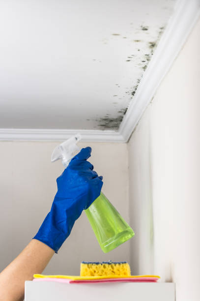 Best Water Damage Restoration  in Nd Lake, WI
