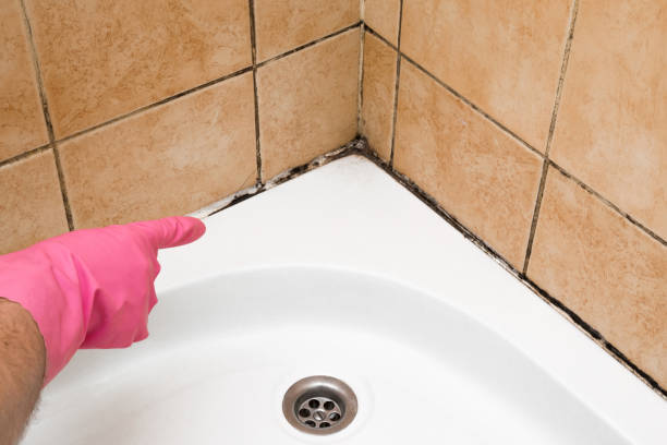 Mold Testing and Removal in Wind Lake, WI